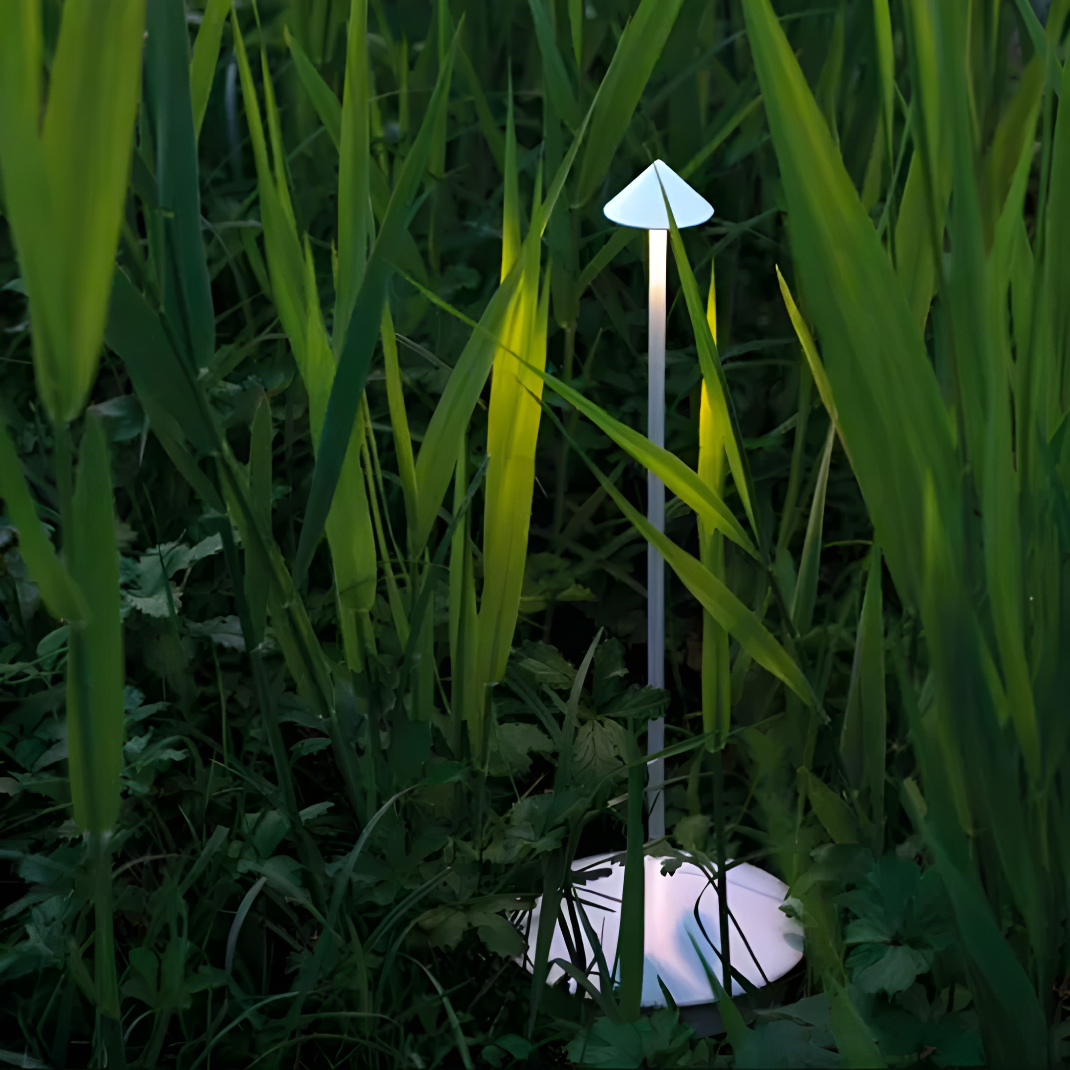 Rechargeable LED Table Lamp - Dimmable Indoor Outdoor Light